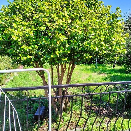 Sisco Maison Individuelle Padulella מראה חיצוני תמונה