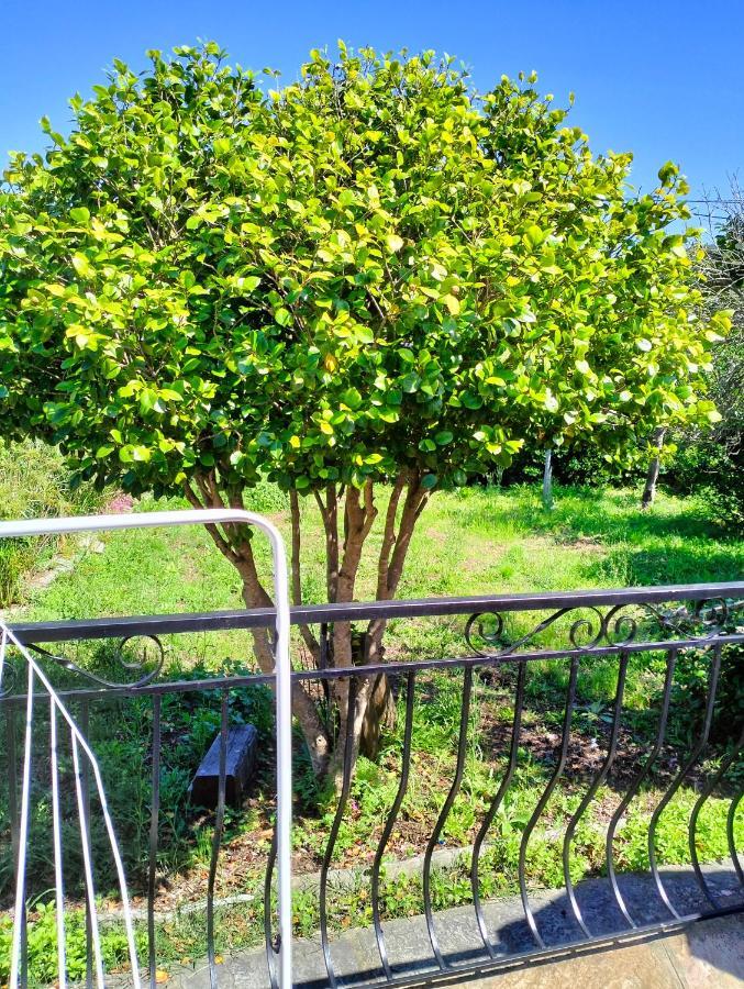Sisco Maison Individuelle Padulella מראה חיצוני תמונה